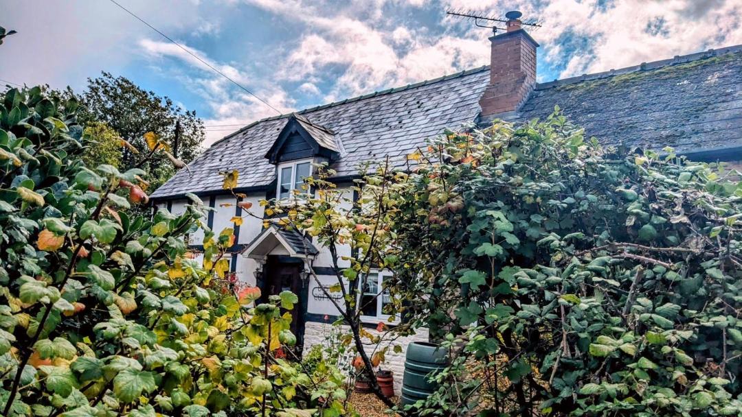 Photo of Others in Peterchurch