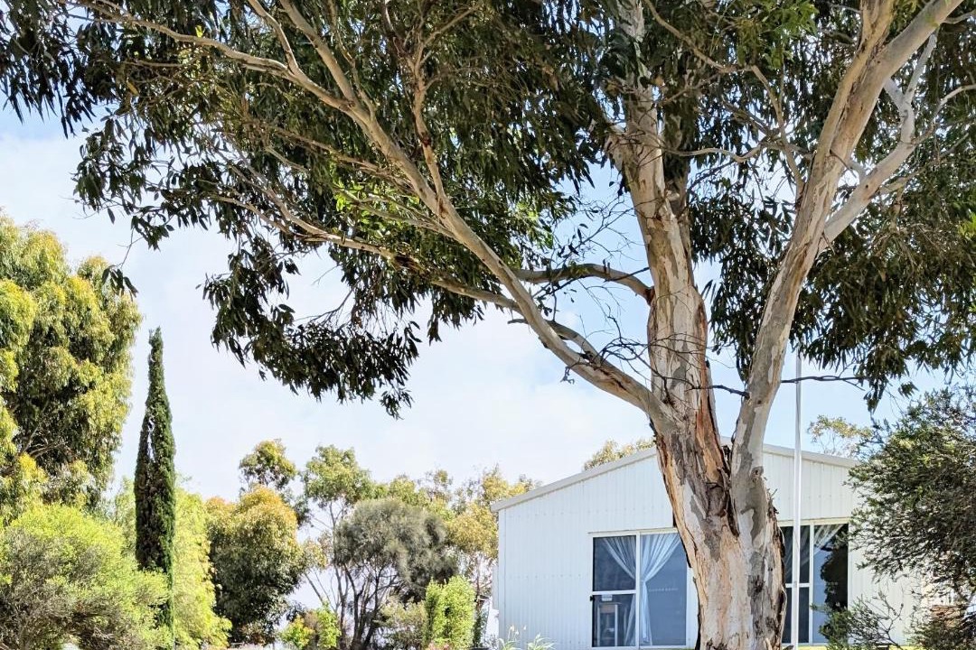 Photo of Others in Alexandrina