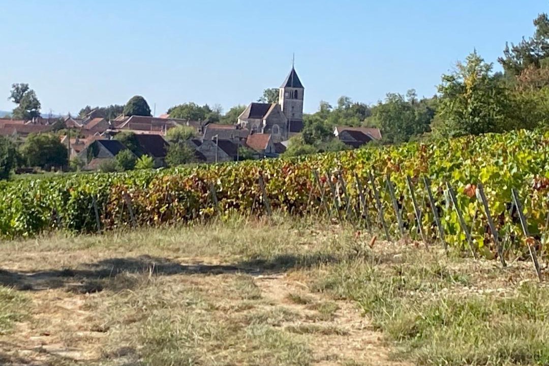 Photo of Others in Bouix