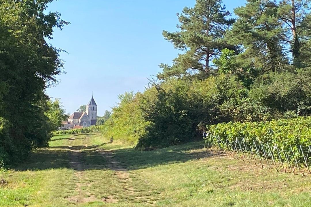 Photo of Others in Bouix