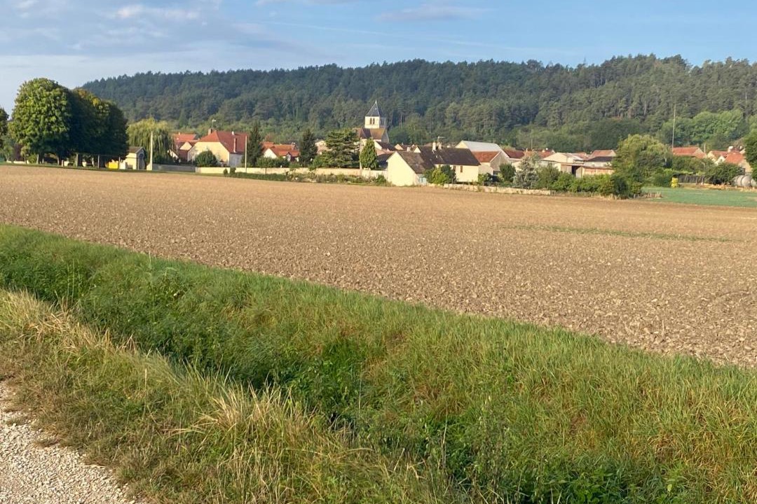 Photo of Others in Bouix