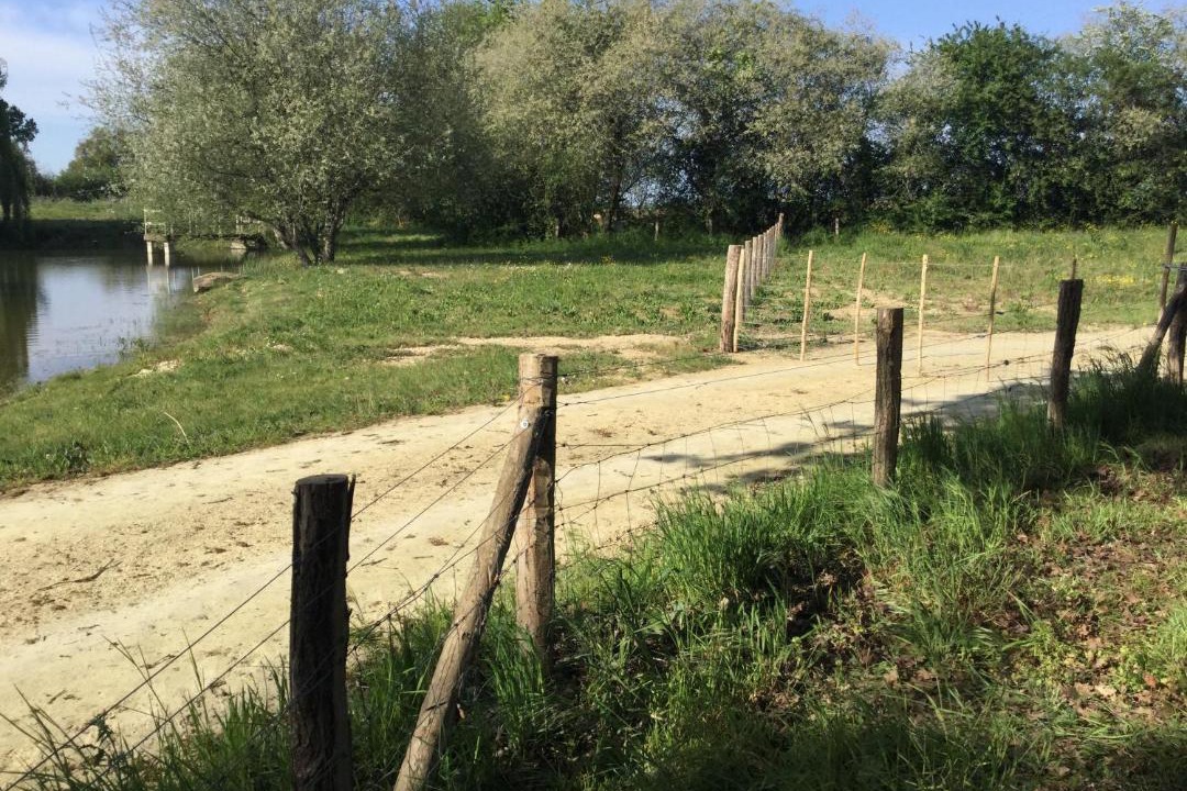 Photo of Others in Brigne