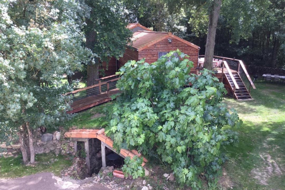 Photo of Others in Brigne