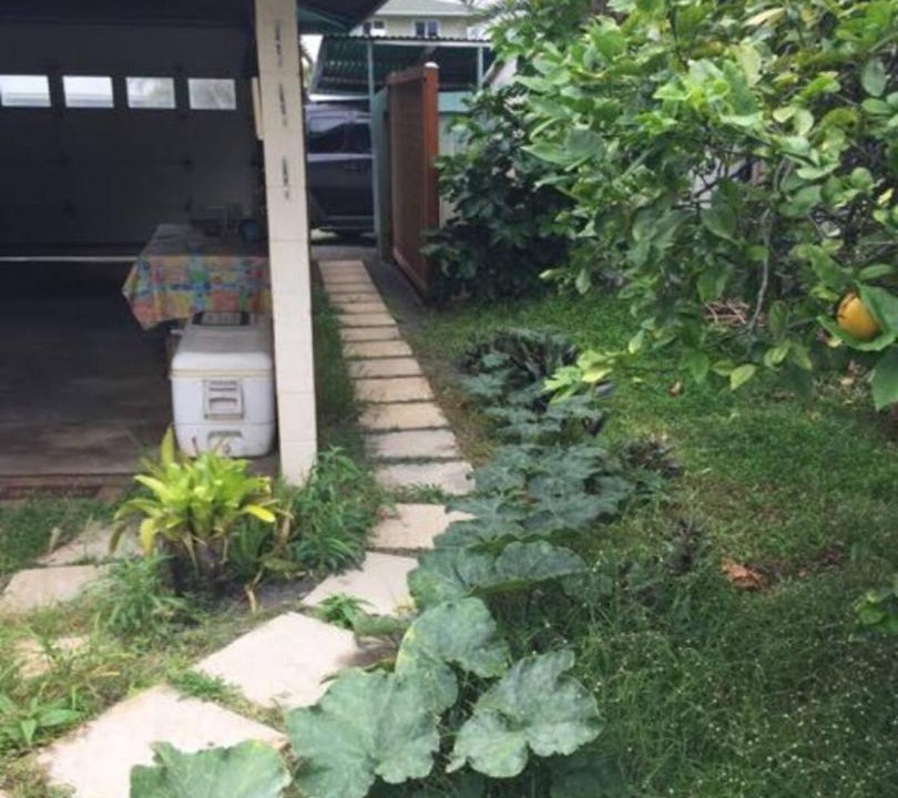 Photo of Others in Pauwela