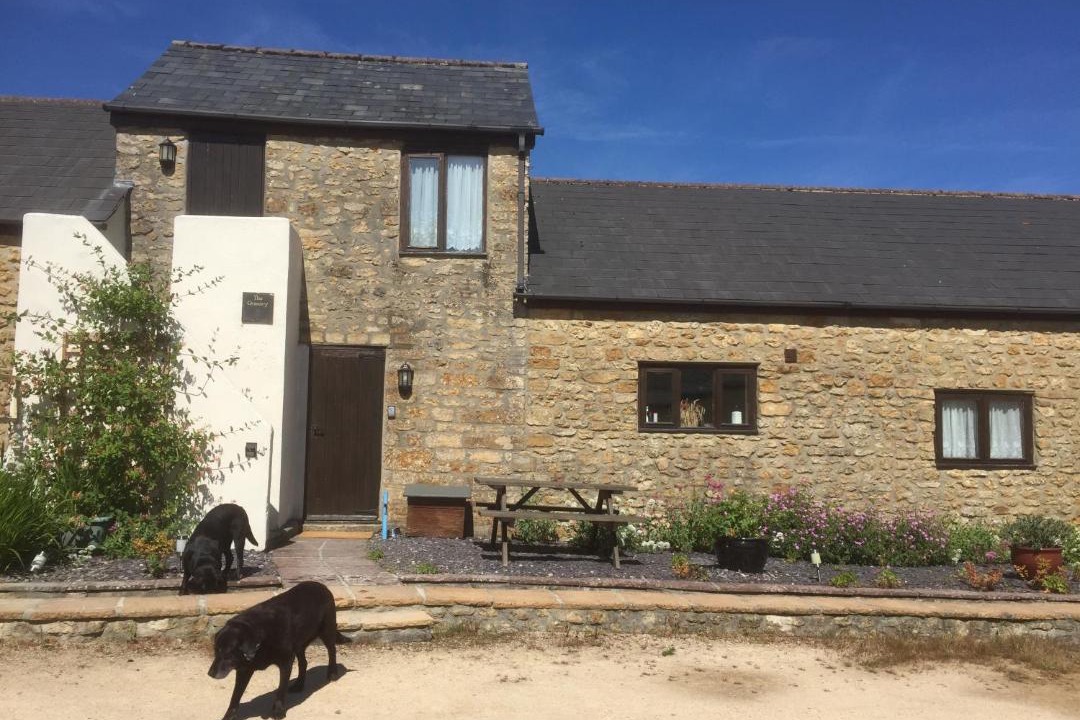 Photo of Others in Beaminster