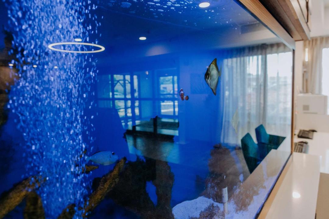 Photo of Others in Maplewood