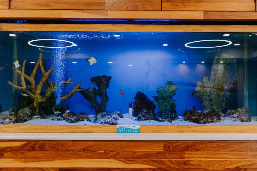 Photo of Others in Maplewood