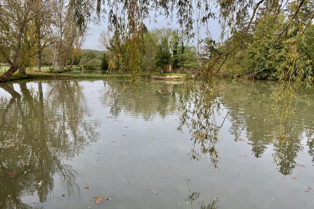 Photo of Others in Saint-Just-Saint-Rambert