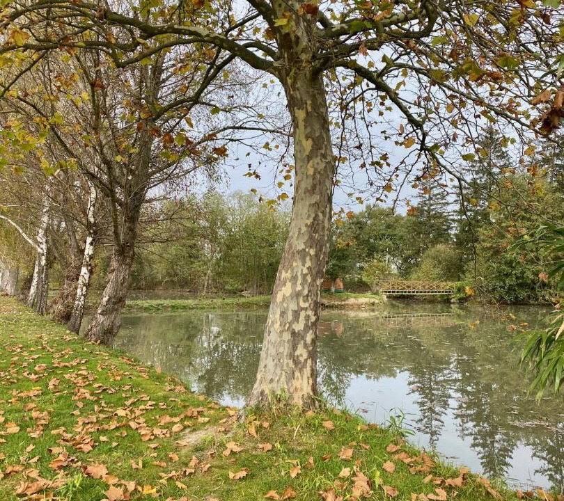 Photo of Others in Saint-Just-Saint-Rambert
