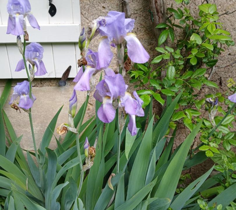 Photo of Others in Couloutre