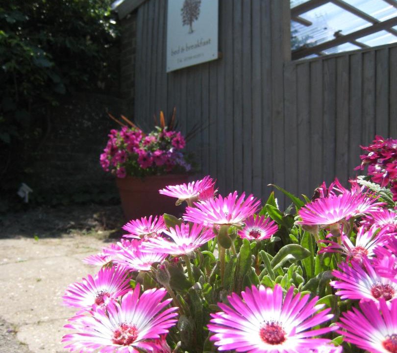 Photo of Others in Crawley Down