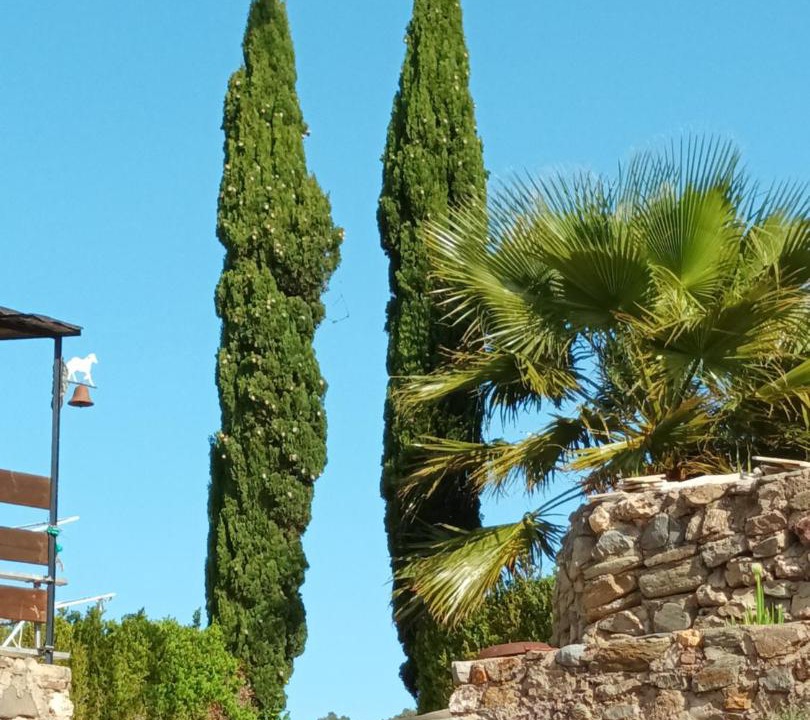 Photo of Others in Montauriol