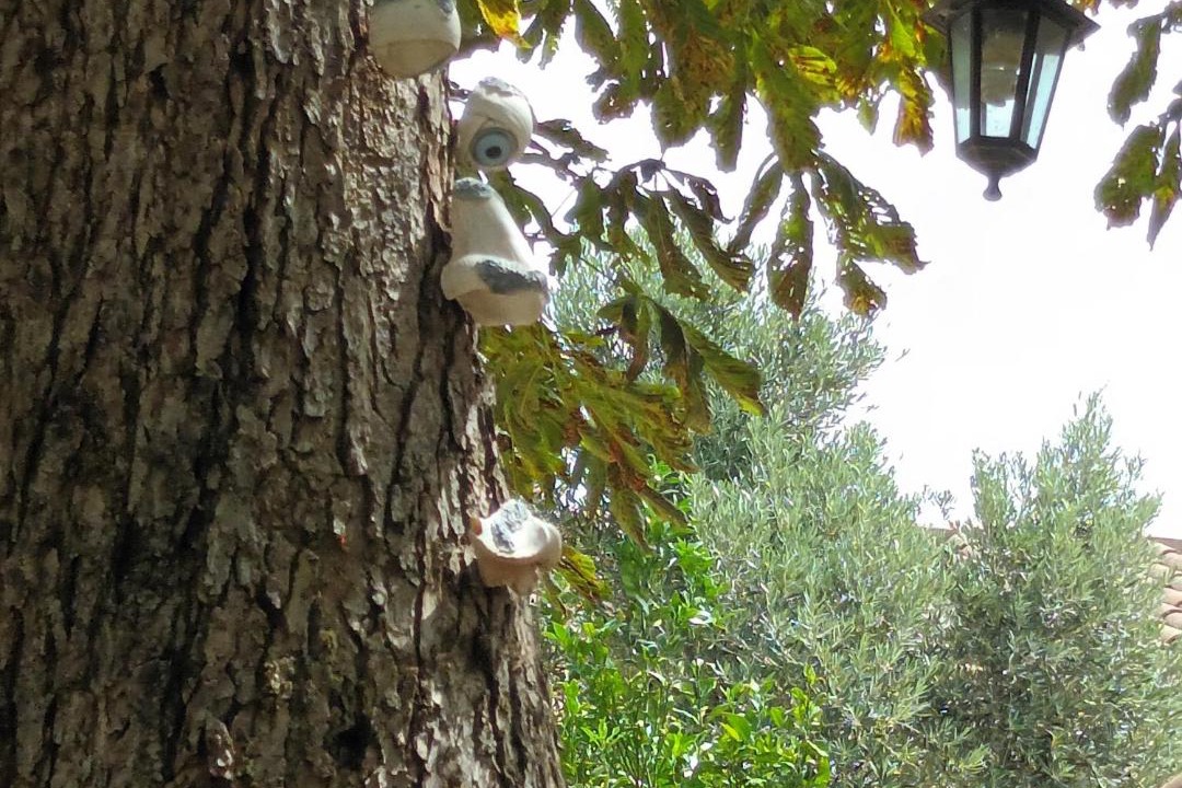 Photo of Others in Montauriol