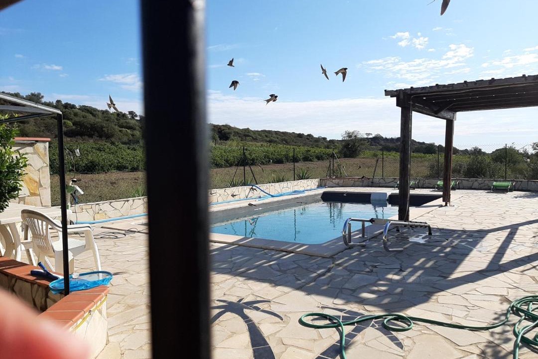 Photo of Others in Montauriol