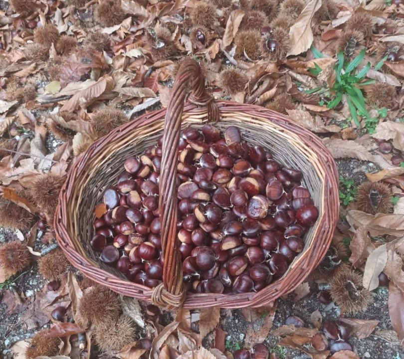 Photo of Outdoor in Dourbies