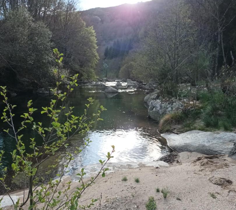 Photo of Others in Dourbies