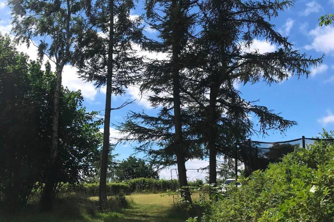 Photo of Outdoor in Knebel