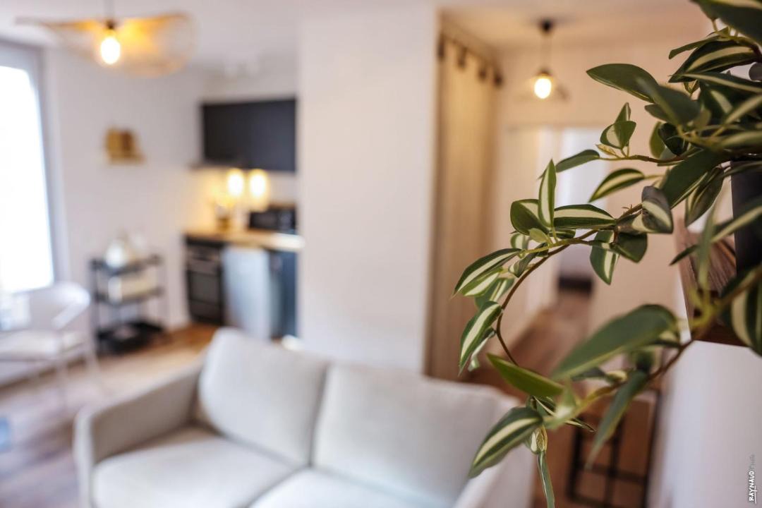 Photo of Others in Albi