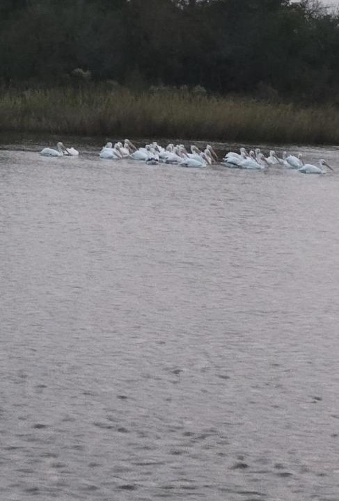 Photo of Others in Baytown