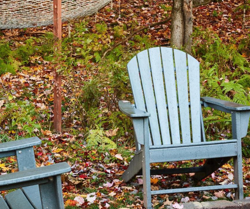 Photo of Others in Livingston Manor