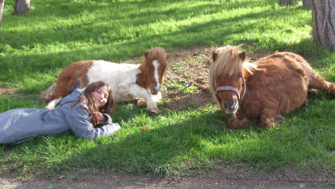 Photo of Others in Forcalquier