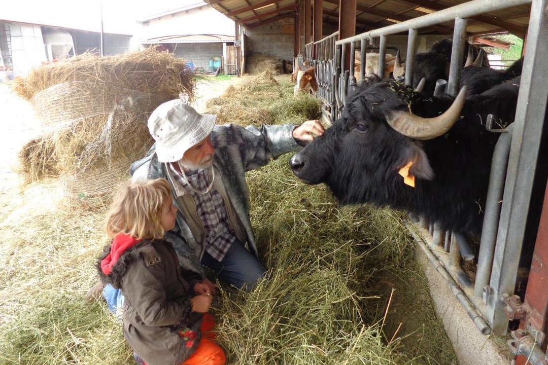 Photo of Others in Forcalquier