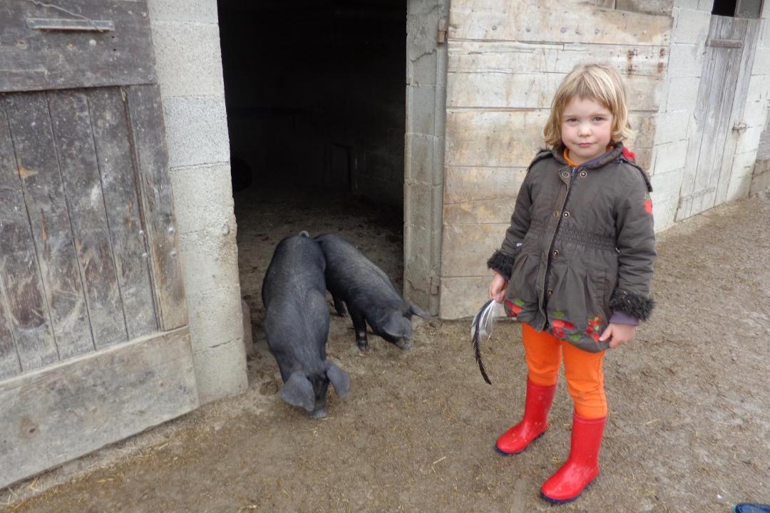 Photo of Others in Forcalquier