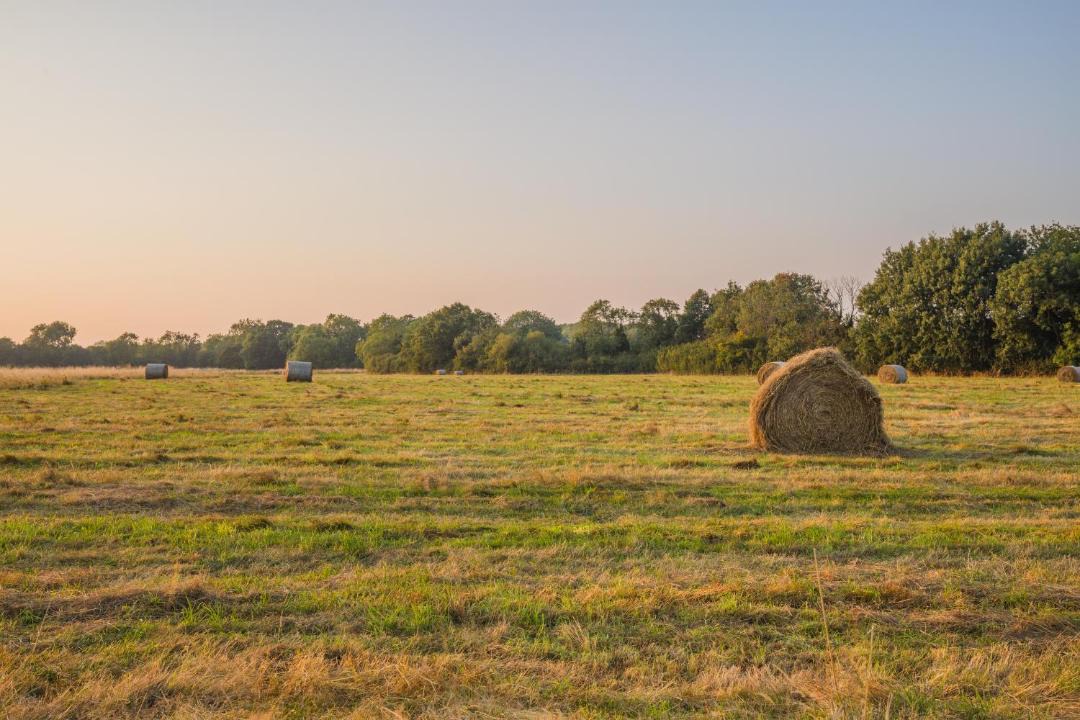 Photo of Others in Wellingborough