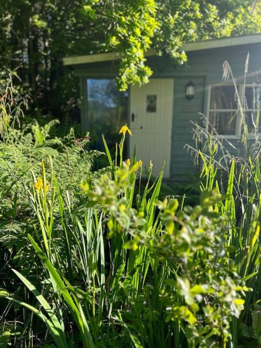 Photo of Others in Lower Trengale