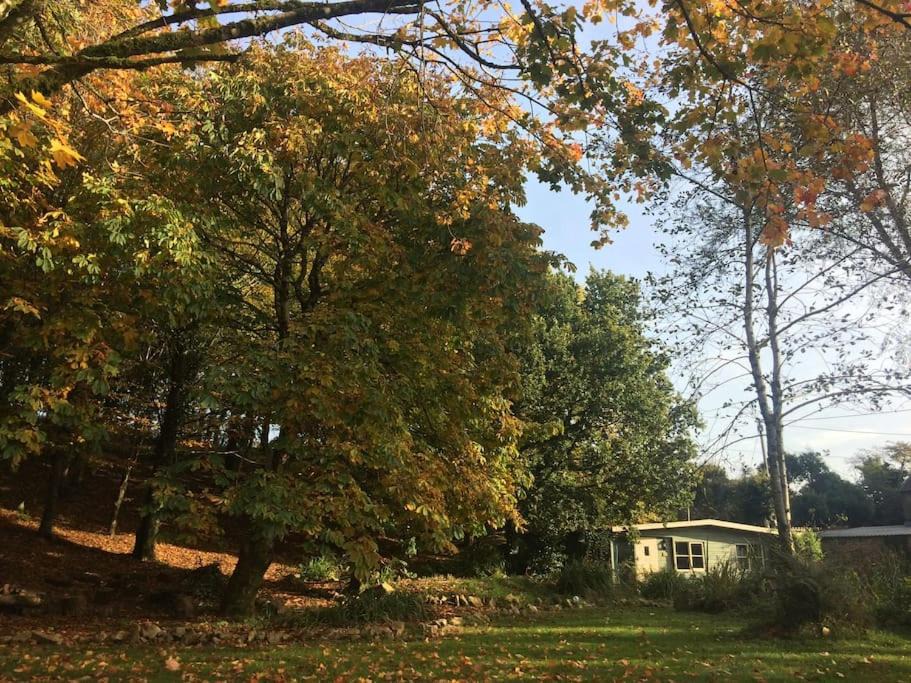 Photo of Others in Lower Trengale