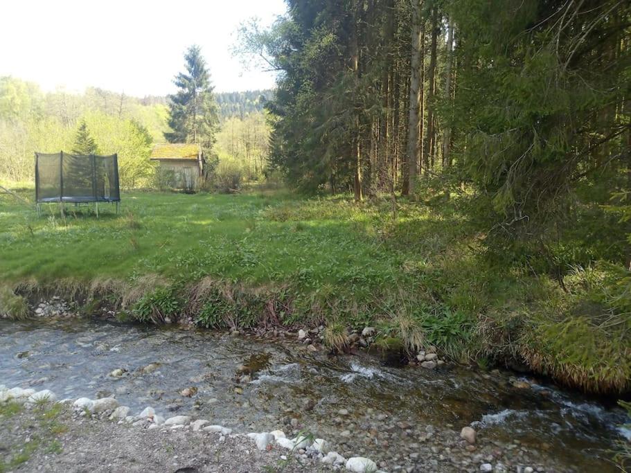 Photo of Others in Gerardmer