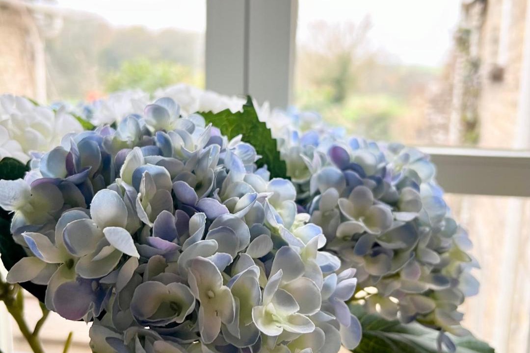 Photo of Others in Chedworth