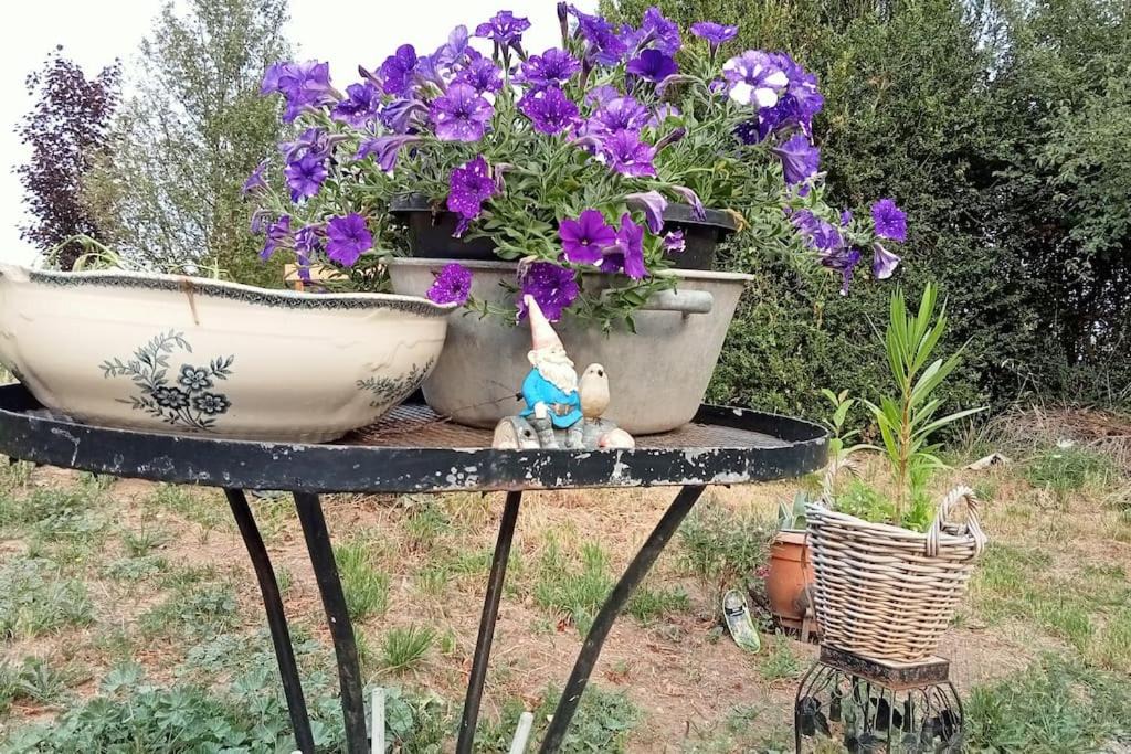 Photo of Others in Saint-Sulpice-le-Dunois