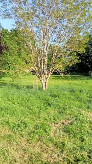 Photo of Outdoor in Saint-Sulpice-le-Dunois