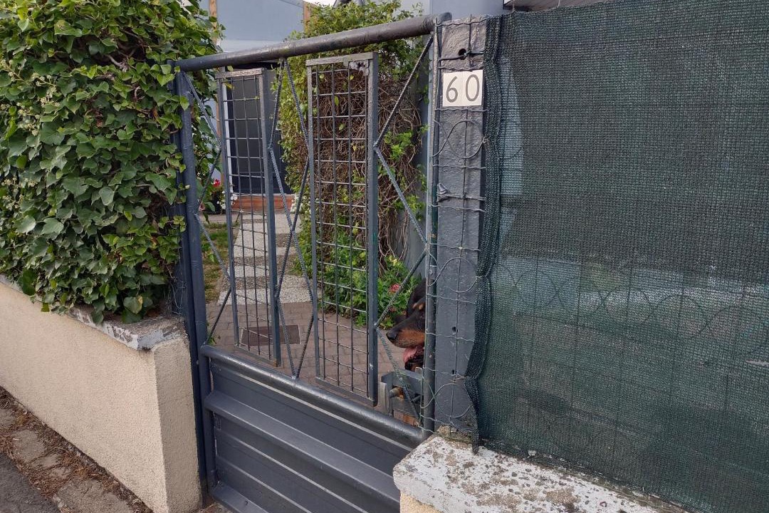 Photo of Others in Lievin