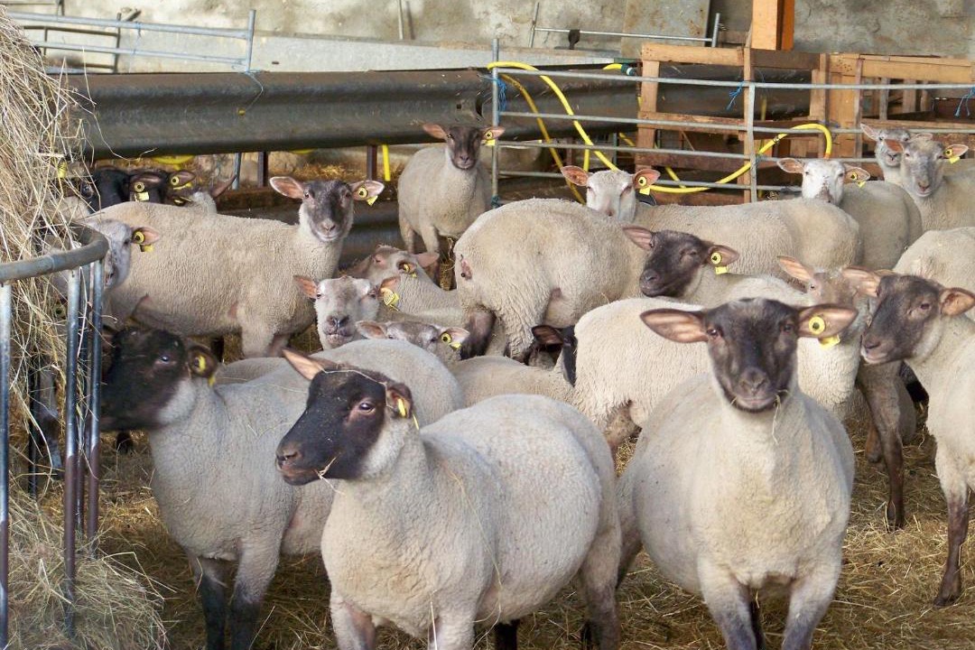 Photo of Others in La Berthenoux