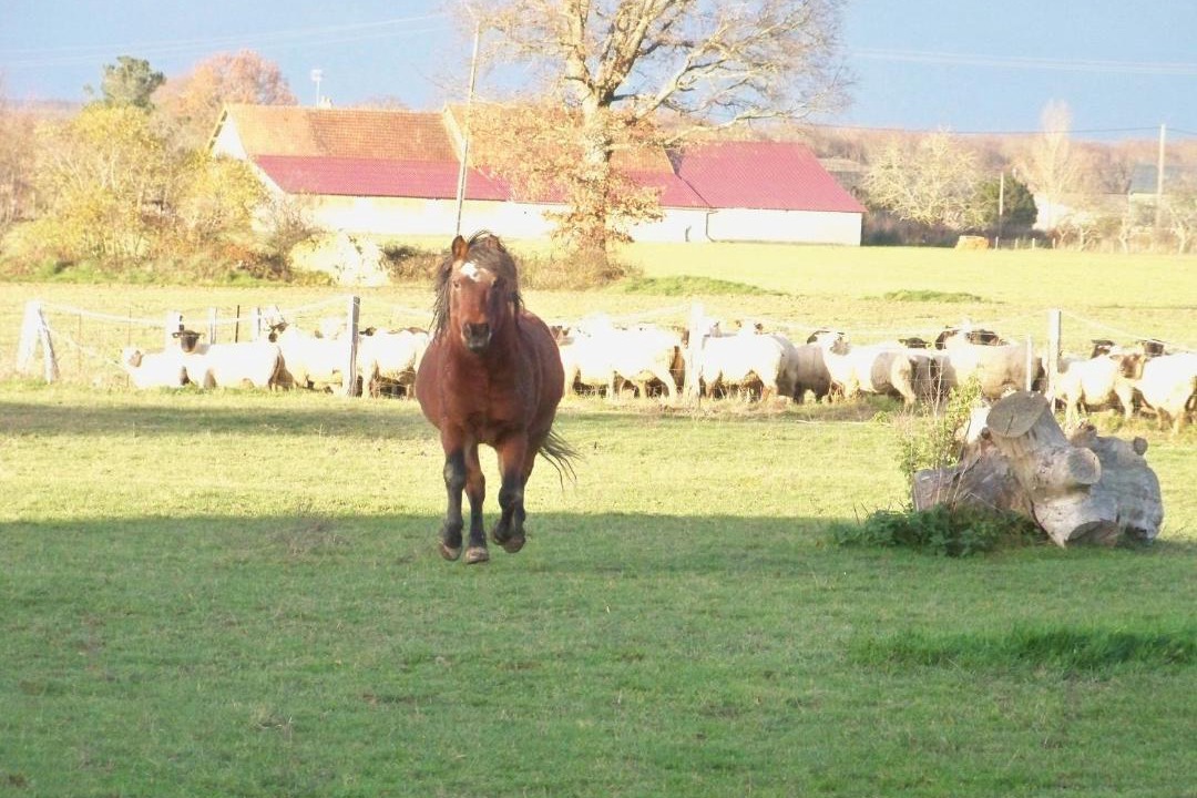 Photo of Others in La Berthenoux