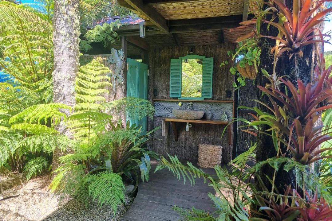 Photo of Others in Coromandel