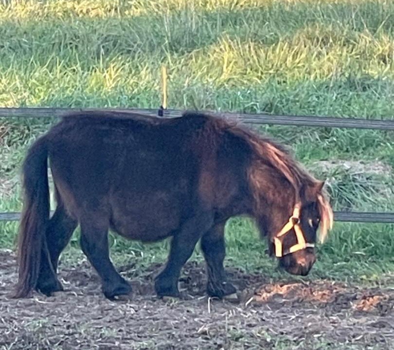 Photo of Others in Domfront-en-Champagne