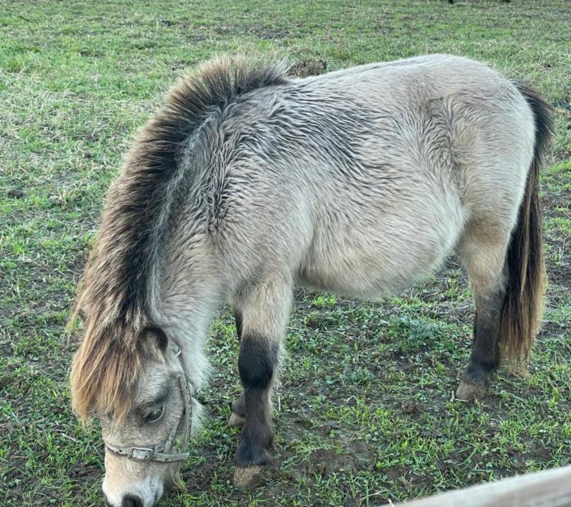 Photo of Others in Domfront-en-Champagne