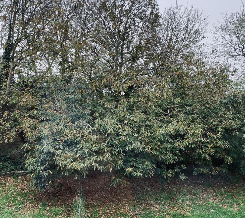 Photo of Others in Plouzane