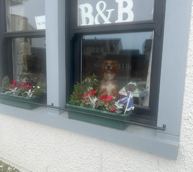 Photo of Others in Dunfermline