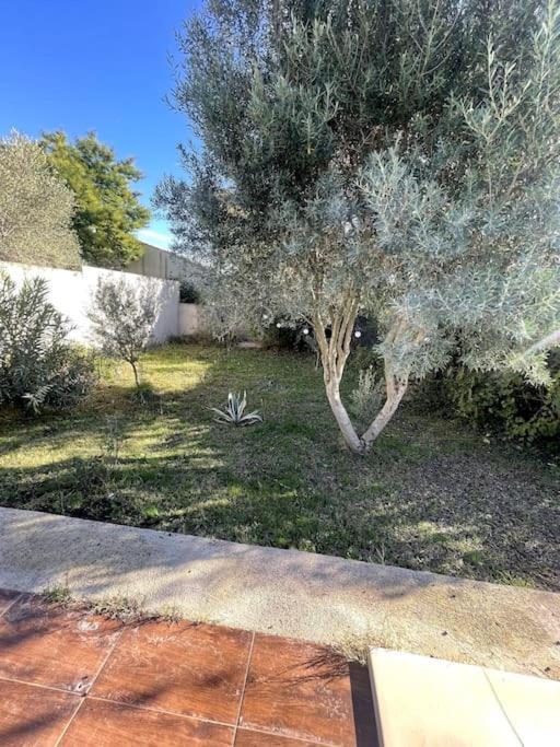 Photo of Others in Valergues