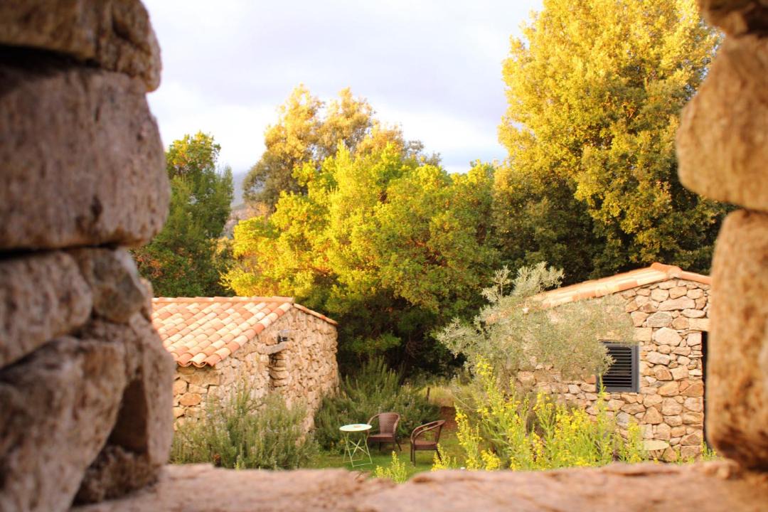 Photo of Others in Cauro