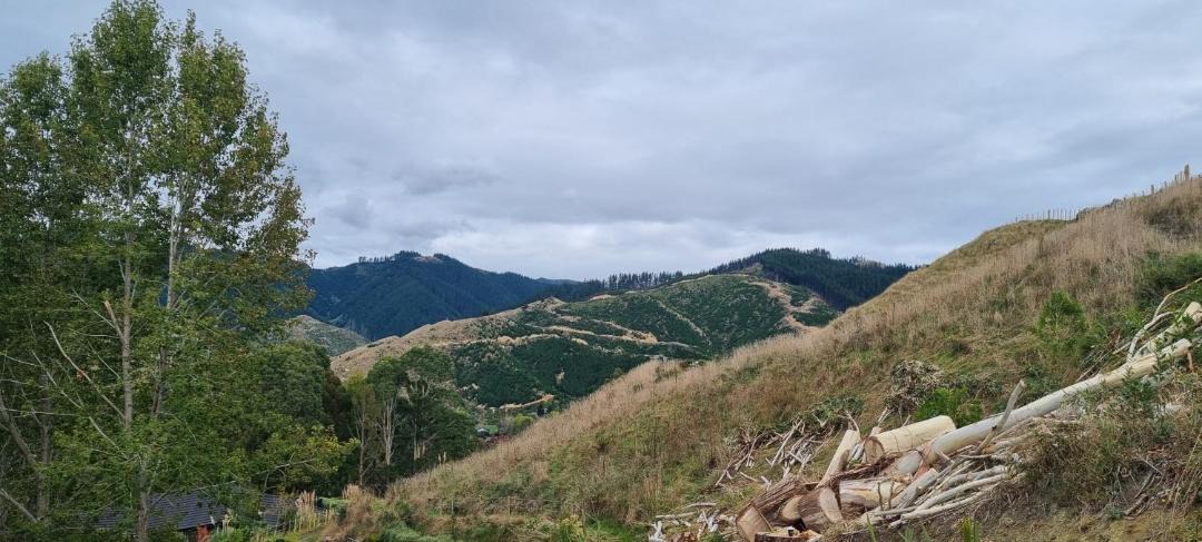 Photo of Others in Paraparaumu