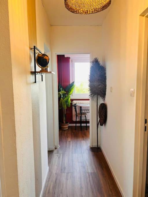 Photo of Others in Mulhouse