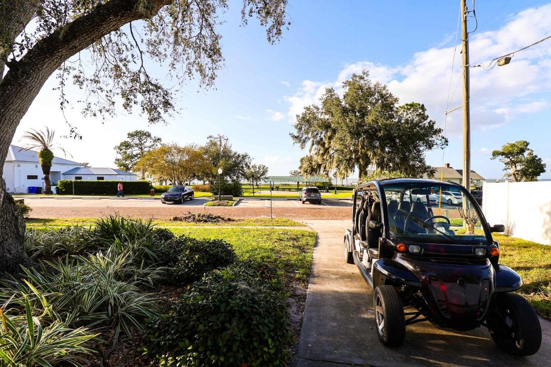 Photo of Others in Winter Garden