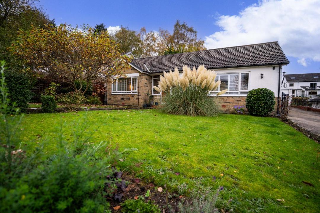 Photo of Others in Roundhay