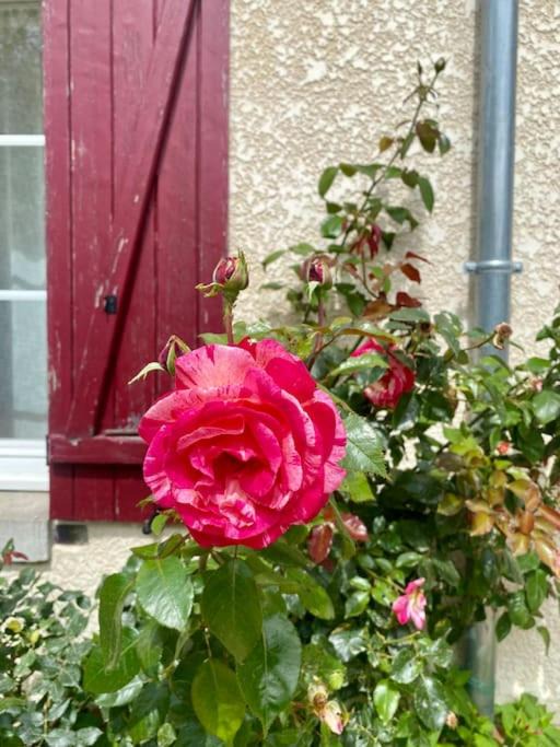 Photo of Others in Saint-Maurice-sur-Fessard