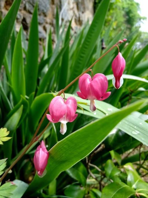 Photo of Outdoor in Saulgond